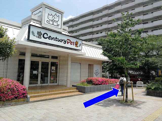 CenturyPet前の画像