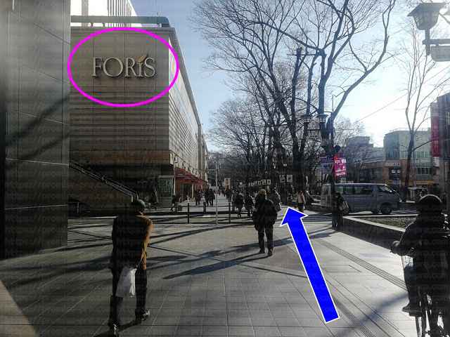 左側にFORISの画像