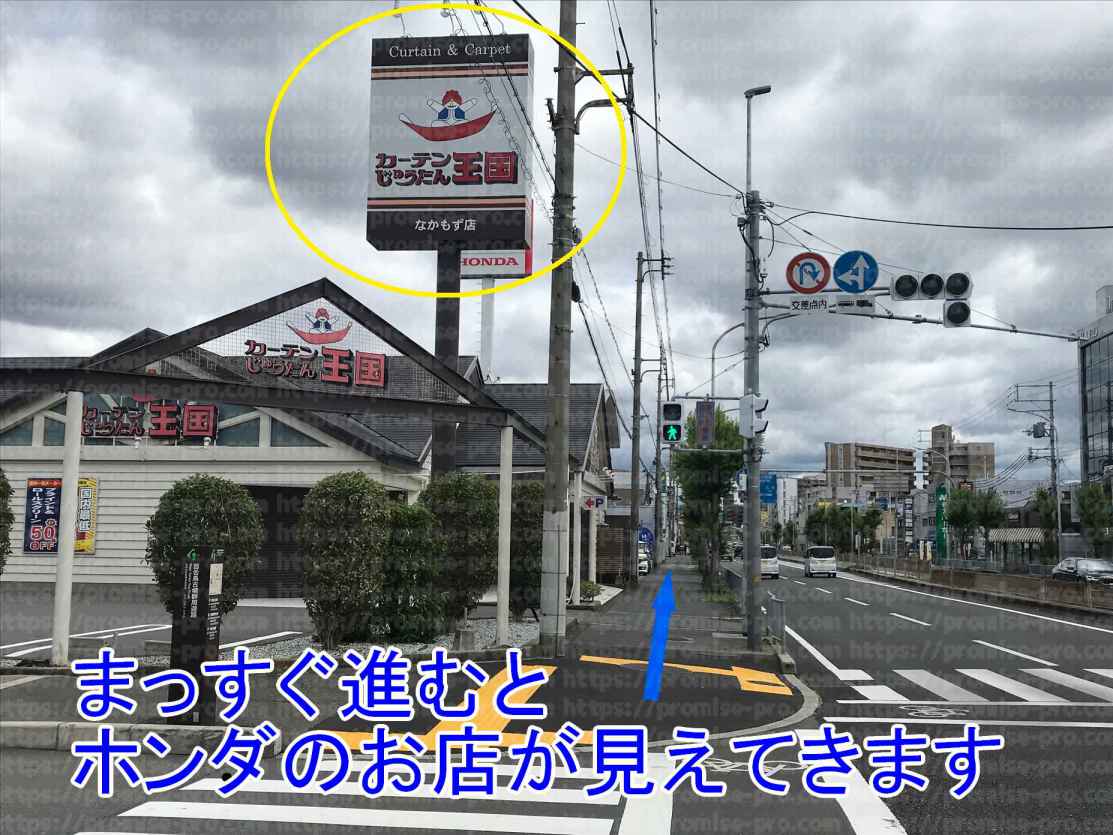 カーテンじゅうたん王国画像