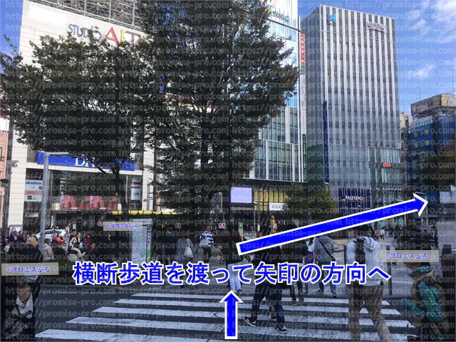 横断歩道を渡り右斜め方向へ