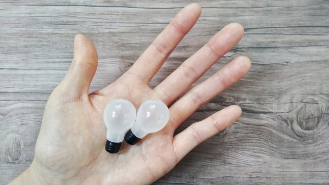 手のひらの上の2つの豆電球