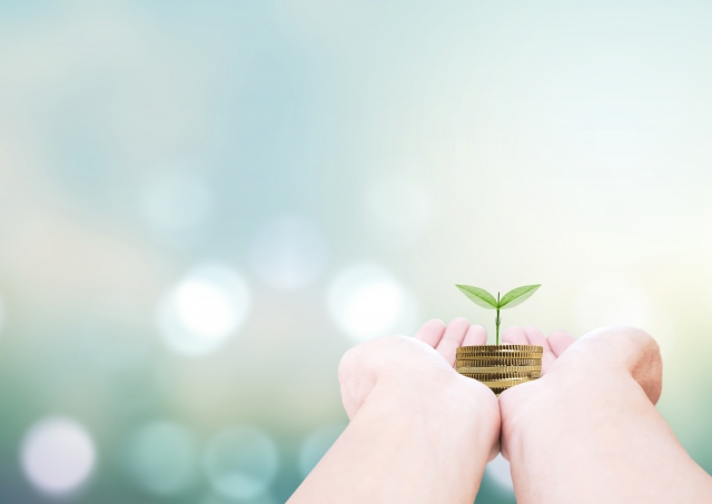 両方の手のひらの上に積まれた硬貨と発芽している植物