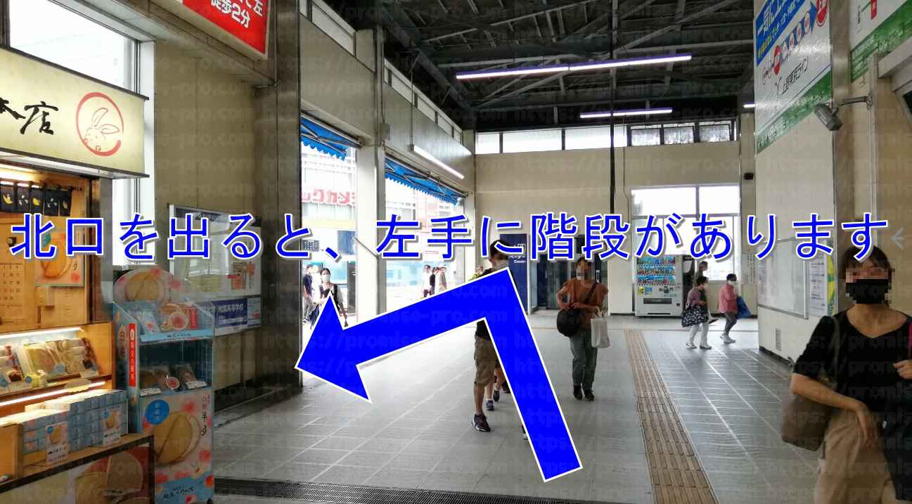 アゼリアの画像