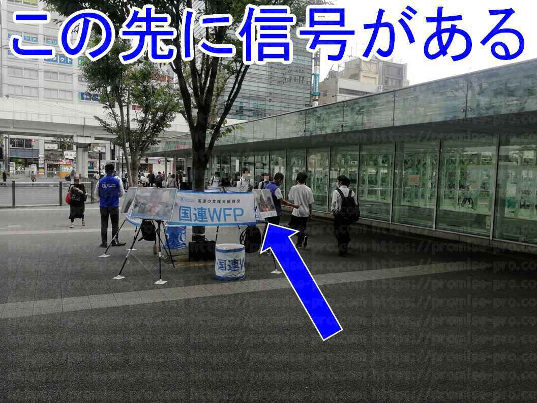 アゼリアから信号への道の画像