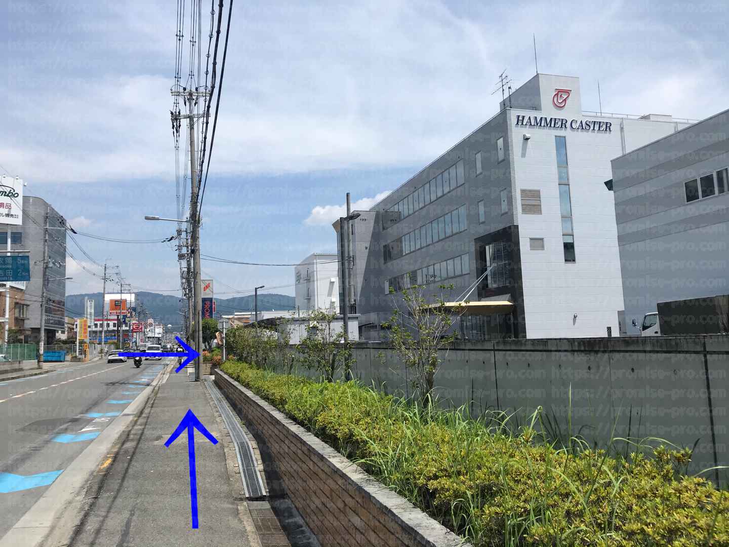  HAMMER CASTERの建物の画像